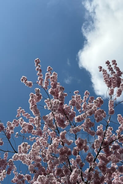 Giessen, Almanya: Keşfedilmeyi Bekleyen Saklı Cennet