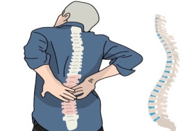 Kırık Omurlar Gerçekten “Eski Haline” Döner mi? Yeni Araştırmalar Ne Diyor?
