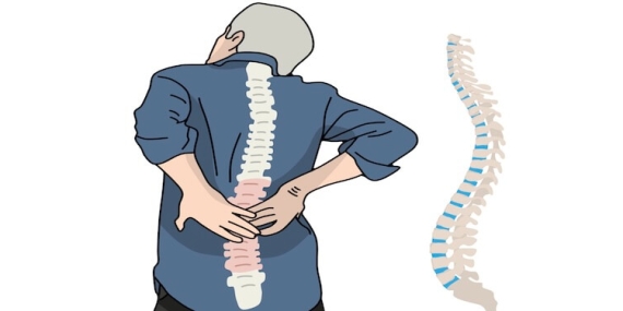 Kırık Omurlar Gerçekten “Eski Haline” Döner mi? Yeni Araştırmalar Ne Diyor?