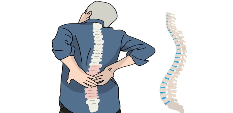Kırık Omurlar Gerçekten “Eski Haline” Döner mi? Yeni Araştırmalar Ne Diyor?